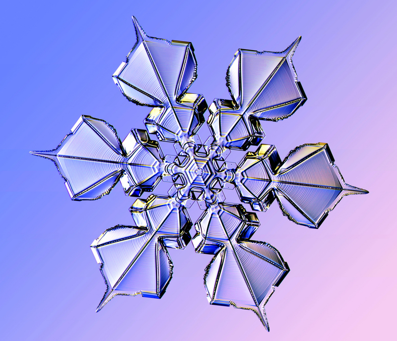 Illustration for article titled This Physicist Makes Dazzling Snowflakes in his Laboratory
